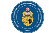وزارة التنمية والإستثمار والتعاون الدولي تونس