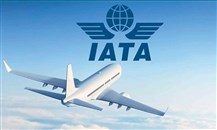 إياتا: خسائر النقل الجوي قد تصل إلى 113 مليار دولار