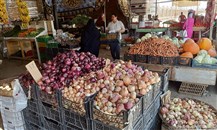 مصر: معدل التضخم بالمناطق الحضارية يتراجع 33.3% في مارس