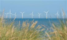 "مبادلة للاستثمار" الإماراتية تستحوذ على حصة في "سكايبورن رينيوابلز" لتطوير طاقة الرياح البحرية