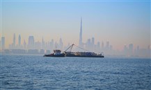 "مشد دبي" للاستدامة: أكبر مشروع للشعاب البحرية في العالم