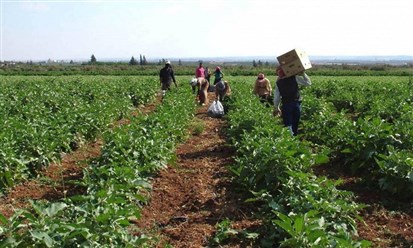 القطاع الزراعي في لبنان: لا قدرة على الانتاج ولا من يدعمون!