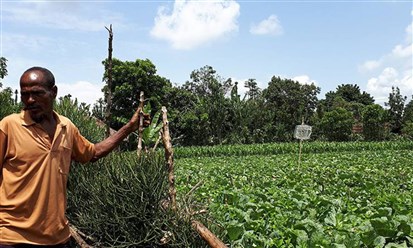 البنك الدولي يمنح أثيوبيا تمويلاً بـ80 مليون دولار لدعم الزراعة