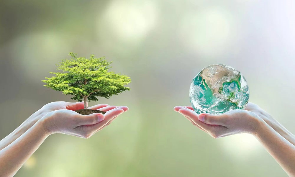 الإمارات: إطلاق النسخة الأولى من "دليل الاستدامة"
