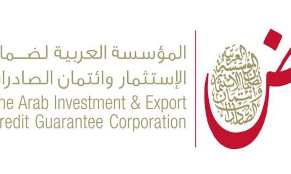 "ضمان الاستثمار": عمليات تأمين الواردات السلعية العربية تتجاوز 100 مليار دولار في 2021