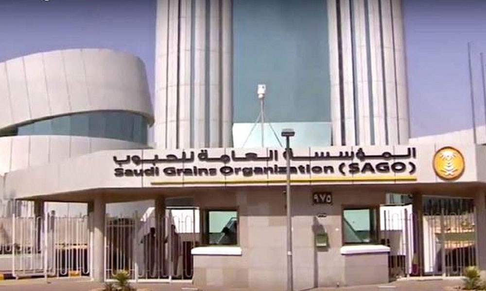 السعودية: "مؤسسة الحبوب" تطرح مناقصة ثانية لاستيراد 295 ألف طن من القمح