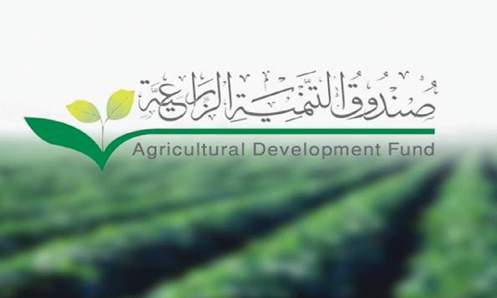 "التنمية الزراعية السعودي": استراتيجية تنموية خمسية جديدة