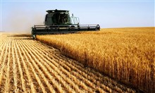 أوكرانيا قد تخسر عشرات ملايين الأطنان من الحبوب بسبب الحصار الروسي لموانئها